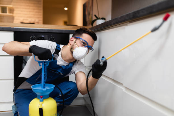 Best Affordable Exterminators  in Cary, IL