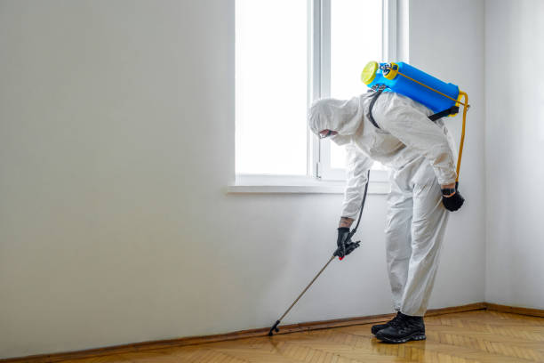 Best Pest Removal Services  in Cary, IL