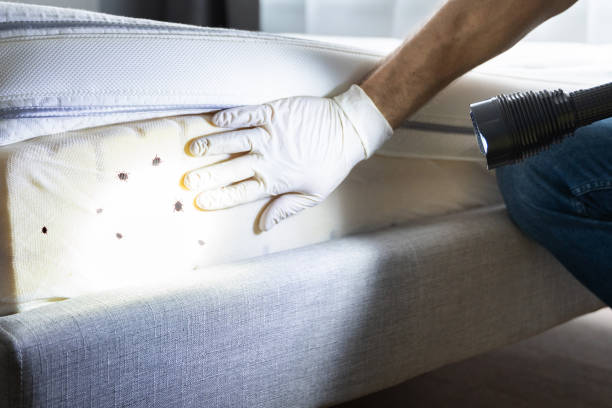 Pest Control Cost in Cary, IL