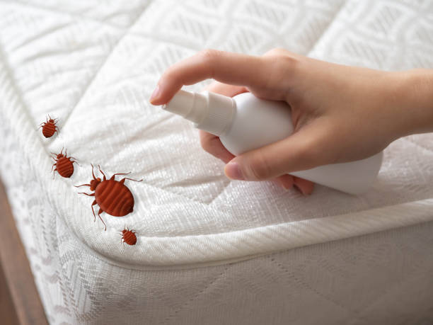 Best Best Pest Control Companies  in Cary, IL