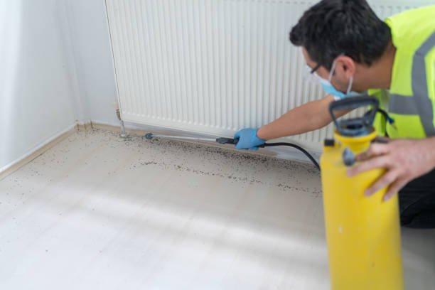Best Affordable Exterminators  in Cary, IL