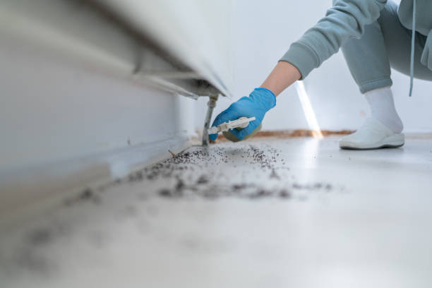 Wildlife Control Services in Cary, IL