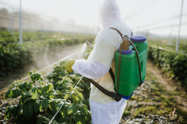Best Exterminator Services  in Cary, IL